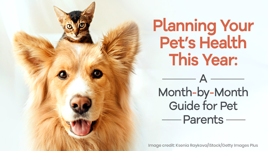 Planning Your Pet’s Health This Year: A Month-by-Month Guide for Pet Parents